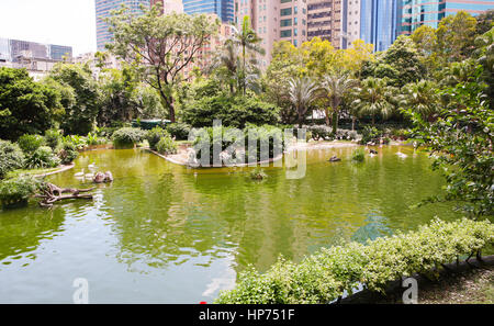 Kowloon Park im Zentrum von Hong Kong ist umgeben von vielen Hochhäusern Büros und Wohnungen Stockfoto