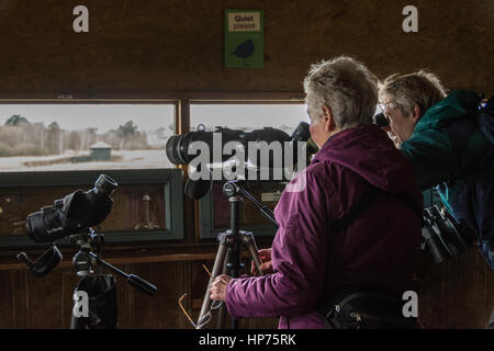 Keen eyed Twitchers (Ornithologen) Stockfoto