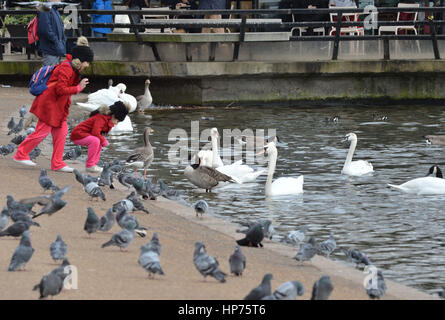 Kinder füttern, Gänse und Schwäne auf dem Serpentine See im Hyde Park, London und als ein verlockenden Vorgeschmack des Frühlings wird sich Geister für viele in der bevorstehenden Woche - Aufhebung halten zwar eine Rückkehr zu nassen und windigen Bedingungen mit einem Risiko für Stürme droht. Stockfoto