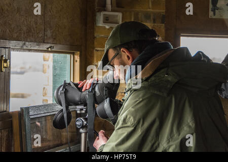 Keen eyed Twitchers (Ornithologen) Stockfoto