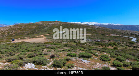 Sommer-Berglandschaft mit Alpenstraße (Sierra Nevada National Park, in der Nähe von Granada, Spanien). Stockfoto