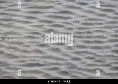 Wellen in einem Moor-Pool zeigt Wind geblasen Muster auf der Wasseroberfläche Stockfoto