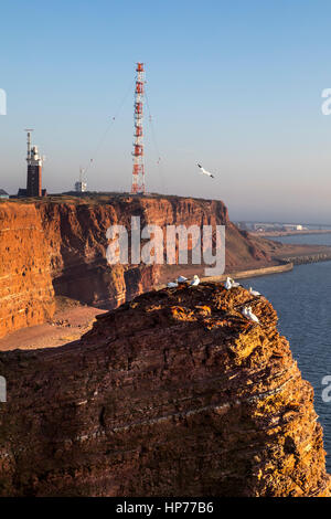 Die roten Steilküste Linie von Helgoland, eine deutsche Insel in der Nordsee, Leuchtturm und Richtfunk System Antennenmast, Vögel Kolonie auf den Felsen, N Stockfoto