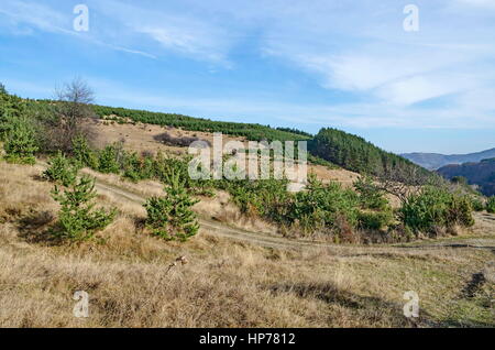 Panorama der Lichtung und späten Herbst Wald im Vitosha Berg, Bulgarien Stockfoto