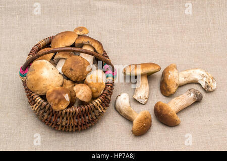 Gruppe von Steinpilzen Pilze auf Leinen. Die natürliche Farbe und Textur. Pilz im Korb. Stockfoto