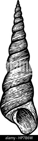 Turm, Shell-Illustration, Zeichnung, Gravur, Tinte, realistisch, Vektor, Meer Stock Vektor