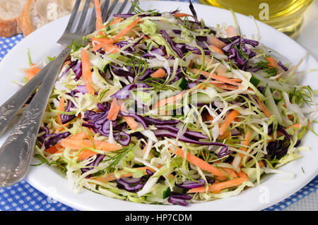 Salat-Krautsalat weiss und Rotkraut mit Karotten und Gurken Stockfoto