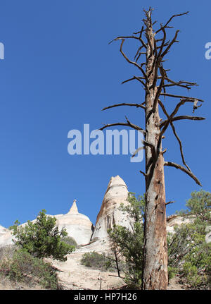 Kasha-Katuwe Zelt Felsen Denkmal Stockfoto