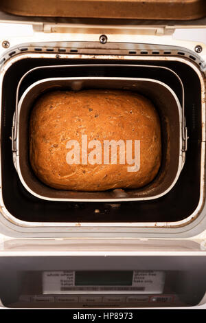 Brot in Panasonic-Brot-Maschine Stockfoto