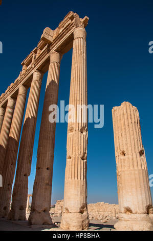 Palmyra, Syrien - 10. Oktober 2010: Die Ruinen der antiken Stadt Palmyra vor dem Krieg. Stockfoto