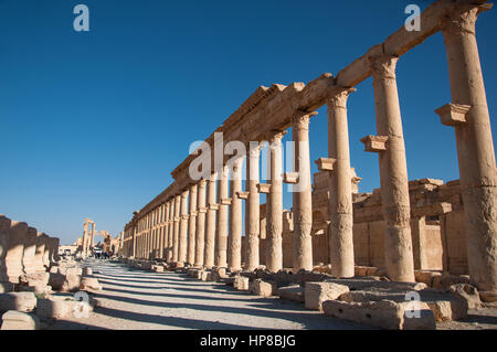 Palmyra, Syrien - 10. Oktober 2010: Die Ruinen der antiken Stadt Palmyra vor dem Krieg. Stockfoto