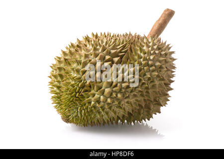 Mon Thong Durian Frucht isoliert auf weißem Hintergrund Stockfoto