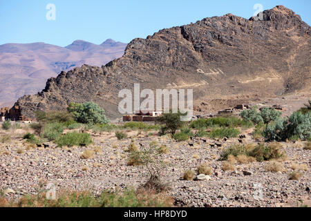 Draa River Valley Szene, Marokko.  "Gott, Land, König" buchstabiert in den Felsen auf Arabisch am Berghang. Stockfoto