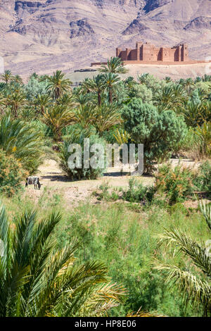 Draa River Valley Szene, Marokko.  Ksar (Kasbah) Tamnougalt, in der Nähe von Agdz. Stockfoto