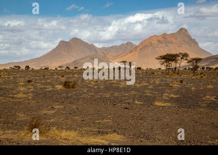 Tinghir Provinz, Marokko.  Landschaft in der Nähe von Rissani. Stockfoto