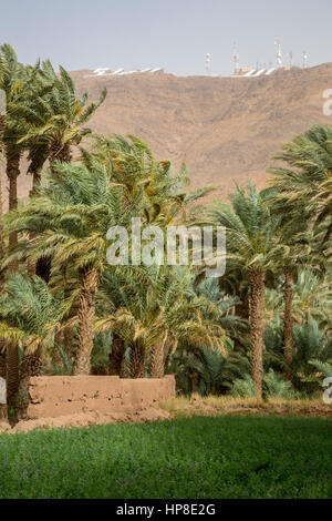 Zagora, Marokko.  Moderne Kommunikation Relais Türme mit Blick auf kleinen Feldern. Stockfoto