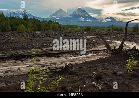 Blick auf Vulkane: Klyuchevskaya Sopka, Besymjanny, Kamen vom Fluss Studenaya in der Morgendämmerung. Kamtschatka-Halbinsel. Stockfoto