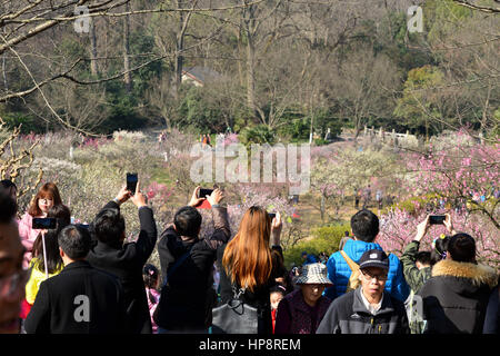 Nanjing, Nanjing, China. 18. Februar 2017. Nanjing, CHINA-Februar 18 2017: (nur zur redaktionellen Verwendung. CHINA HERAUS). Touristen strömen Pflaumenblüten auf dem Plum Blossom Festival in Nanjing, der ostchinesischen Provinz Jiangsu, 18. Februar 2017 zu genießen. Bildnachweis: SIPA Asien/ZUMA Draht/Alamy Live-Nachrichten Stockfoto