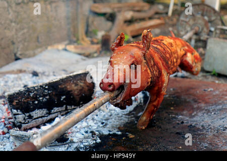 Nur Spanferkel am Spieß drehen Stockfoto