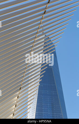 Die gerippten Flügel des Oculus World Trade Center Transportation Hub Kontrast mit One World Trade Center (Freedom Tower) in New York City. Stockfoto