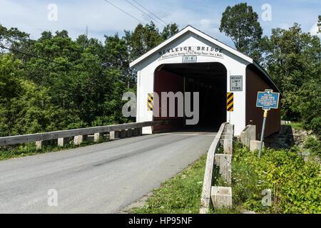 Rexleigh Bridge ist eine gedeckte Holzbrücke über den Batten Kill im Washington County, New York. Es ist eine der 29 historischen gedeckten Brücken in New York. Stockfoto