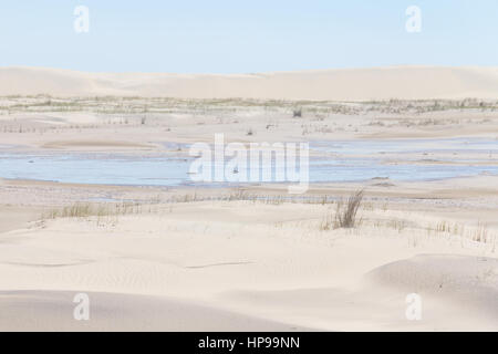 Vegetation auf den Dünen in Lagoa do Peixe See, Mostardas Stadt, Rio Grande do Sul, Brasilien. Stockfoto