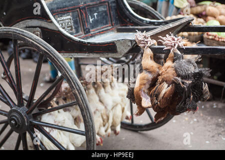 Kalkutta, Calcutta, West, Bengal, West Bengalen, Indien, Indian, Asia, asiatisch, Stockfoto