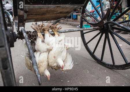 Kalkutta, Calcutta, West, Bengal, West Bengalen, Indien, Indian, Asia, asiatisch, Stockfoto