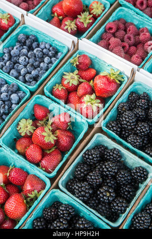 Pints erntefrische Erdbeeren, Heidelbeeren und Brombeeren zum Verkauf auf einem Bauernmarkt in Issaquah, Washington, USA Stockfoto