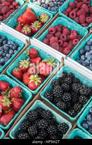 Pints erntefrische Erdbeeren, Heidelbeeren und Brombeeren zum Verkauf auf einem Bauernmarkt in Issaquah, Washington, USA Stockfoto