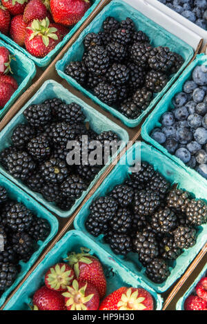 Pints erntefrische Erdbeeren, Heidelbeeren und Brombeeren zum Verkauf auf einem Bauernmarkt in Issaquah, Washington, USA Stockfoto