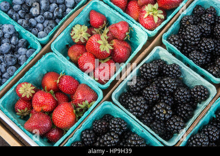 Pints erntefrische Erdbeeren, Heidelbeeren und Brombeeren zum Verkauf auf einem Bauernmarkt in Issaquah, Washington, USA Stockfoto