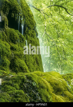 Guetersteiner Wasserfall, Bad Urach, Baden - Württemberg, Deutschland Stockfoto