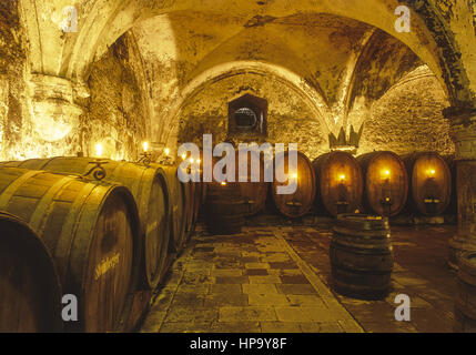 Alter Weinkeller, Kloster Eberbach, Deutschland Stockfoto