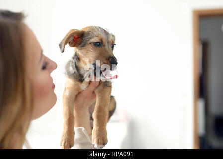 Junge Frau mit ihrem gähnende Hund mit seiner Zunge heraus gegen eine weiße Wand in einem Haus mit Textfreiraum Stockfoto