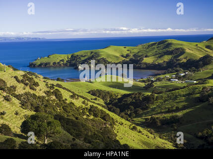 Neuseeland, Nordinsel, Coromandel Halbinsel Stockfoto