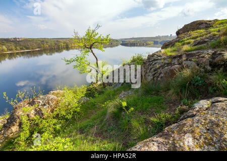 Felsige Ufer des ruhigen alten Dnjepr in der Nähe von Insel Chortyzja mit Baum wächst auf Granitsteinen im Frühjahr, Zaporozhye, Ukraine Stockfoto