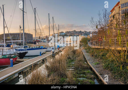 Boote im Hafen von Bristol... Schilf und Gräser werden ermutigt, in schwimmenden Schilf wachsen. Stockfoto