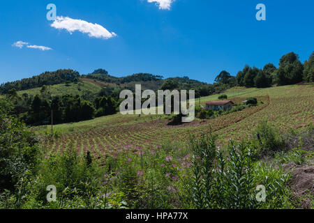 Kleine Farm in den Bergen in der Nähe von Camanducaia, Bundesstaat Minas Gerais, Brasilien, Südamerika Stockfoto