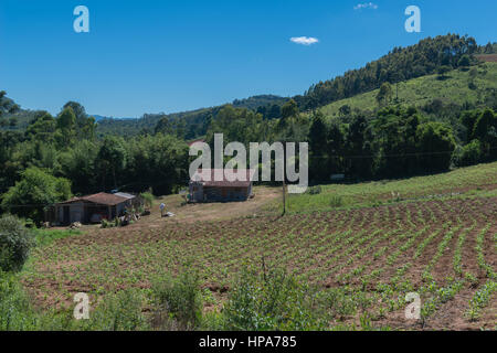 Kleine Farm in den Bergen in der Nähe von Camanducaia, Bundesstaat Minas Gerais, Brasilien, Südamerika Stockfoto