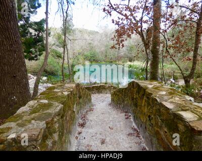 Main Frühling, Ichetucknee Springs State Park, ft. White, Florida, USA Stockfoto