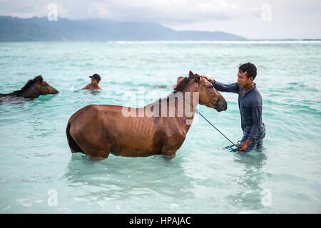 Gili Trawangan, Indonesien - 25. Januar 2017: Männer mit den Pferden im Meer vor dem Hintergrund der bewölkten Himmel und Berge. Redaktionelle Fotos. Horizontale Stockfoto