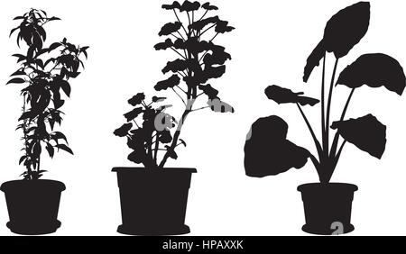 Reihe von verschiedenen Pflanzen in Töpfen, isoliert auf weiss Stock Vektor