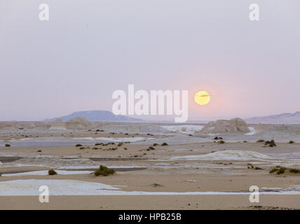 Weisse Wueste, Aegypten, Sonnenaufgang Stockfoto