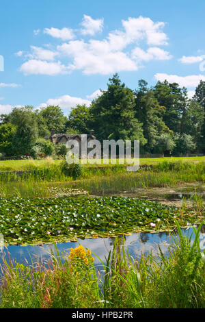 Idyllische Häuser rund um den malerischen Dorfplatz und Teiche bei Frampton auf Severn, Gloucestershire, UK. Stockfoto