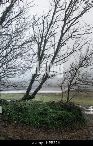 Uk Wetter nebligen Tag. gannel Mündung Newquay Cornwall Stockfoto