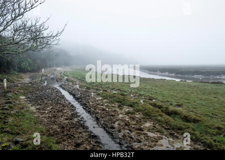 UK Wetter nebligen Tag. Gannel Mündung Newquay Cornwall Stockfoto