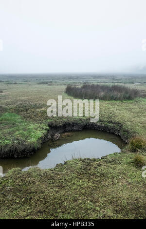 UK Wetter nebligen Tag. Gannel Mündung Newquay Cornwall Stockfoto