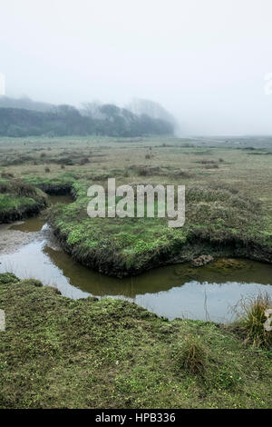 Uk Wetter nebligen Tag. gannel Mündung Newquay Cornwall Stockfoto