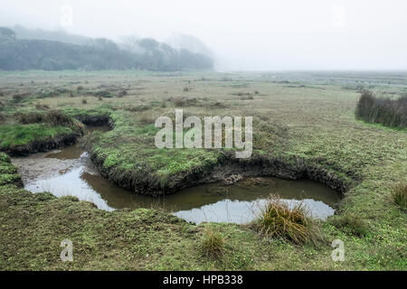 Uk Wetter nebligen Tag. gannel Mündung Newquay Cornwall Stockfoto